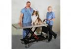 Patient Management